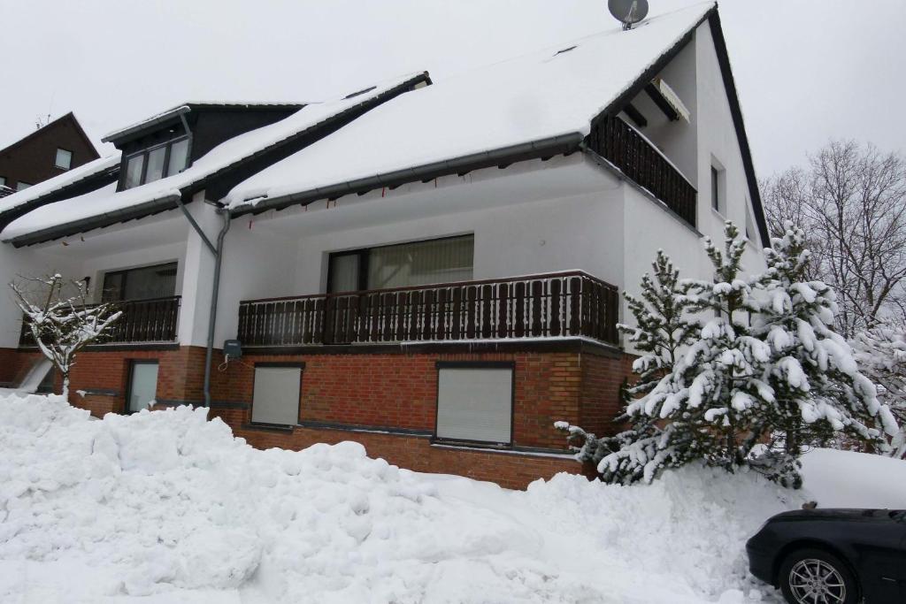 Apartment Anke Braunlage Bagian luar foto